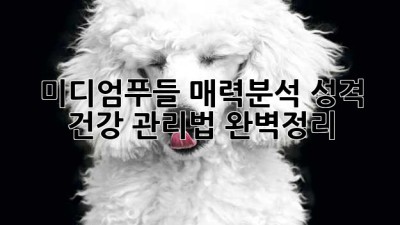 미디엄푸들🐶 매력분석! 성격, 건강, 관리법 완벽정리✨