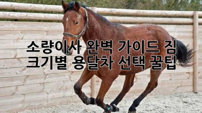 📦 소량이사 완벽 가이드: 짐 크기별 용달차 선택 꿀팁! 🚚