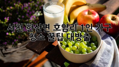 서천 한산면 호암리 1인 가구, 청소 꿀팁 대방출! ✨